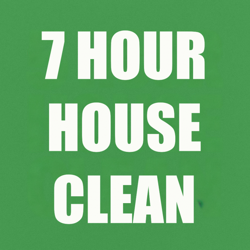 7 hour house clean
