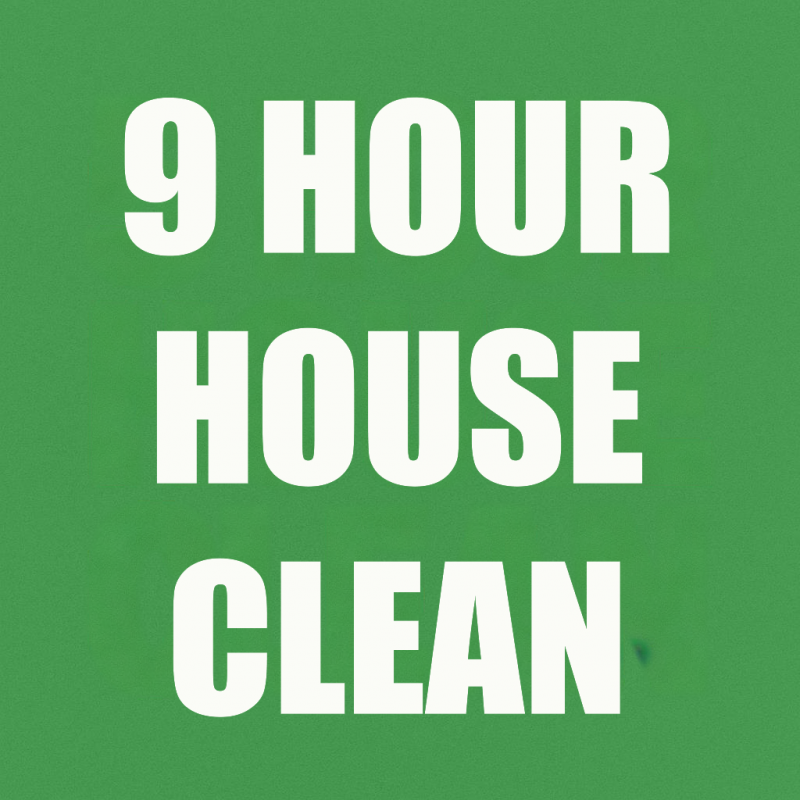 9 hour house cleaning