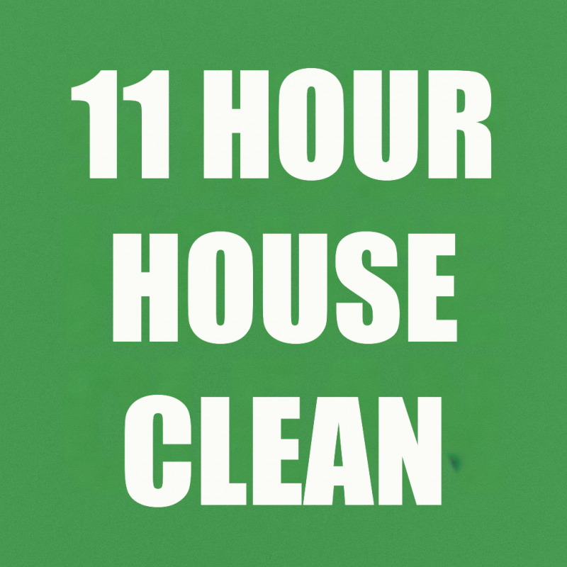 11 hour house clean